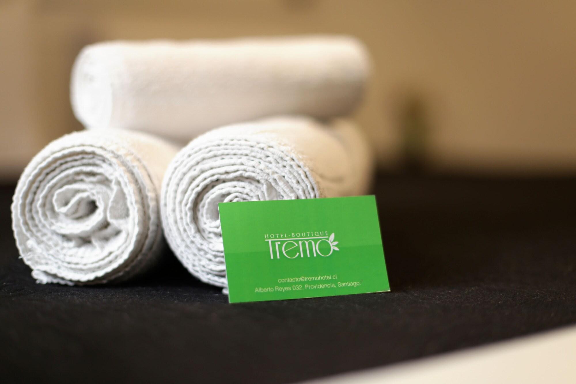 Hotel Boutique Tremo Bustamante Santiago Kültér fotó